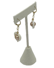 Load image into Gallery viewer, Fresh Water Pearl & Mother of Pearl Jewelry Gift Set