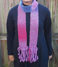 Load image into Gallery viewer, Berry Color Block Skinnee Scarf