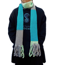 Load image into Gallery viewer, Turquoise Color Block Skinnee Scarf
