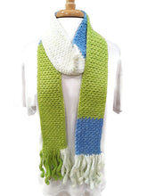 Load image into Gallery viewer, Lime Green/Blue/White Color Block Skinnee Scarf