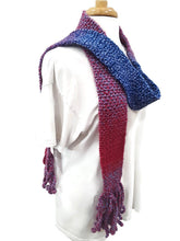 Load image into Gallery viewer, Berry Color Block Skinnee Scarf
