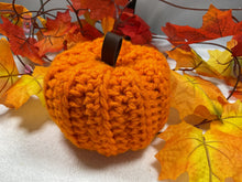 Load image into Gallery viewer, Multi-Color Crochet Pumpkin
