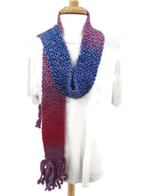 Load image into Gallery viewer, Berry Color Block Skinnee Scarf
