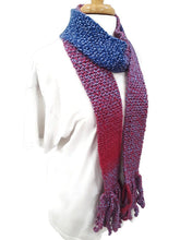 Load image into Gallery viewer, Berry Color Block Skinnee Scarf
