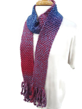 Load image into Gallery viewer, Berry Color Block Skinnee Scarf
